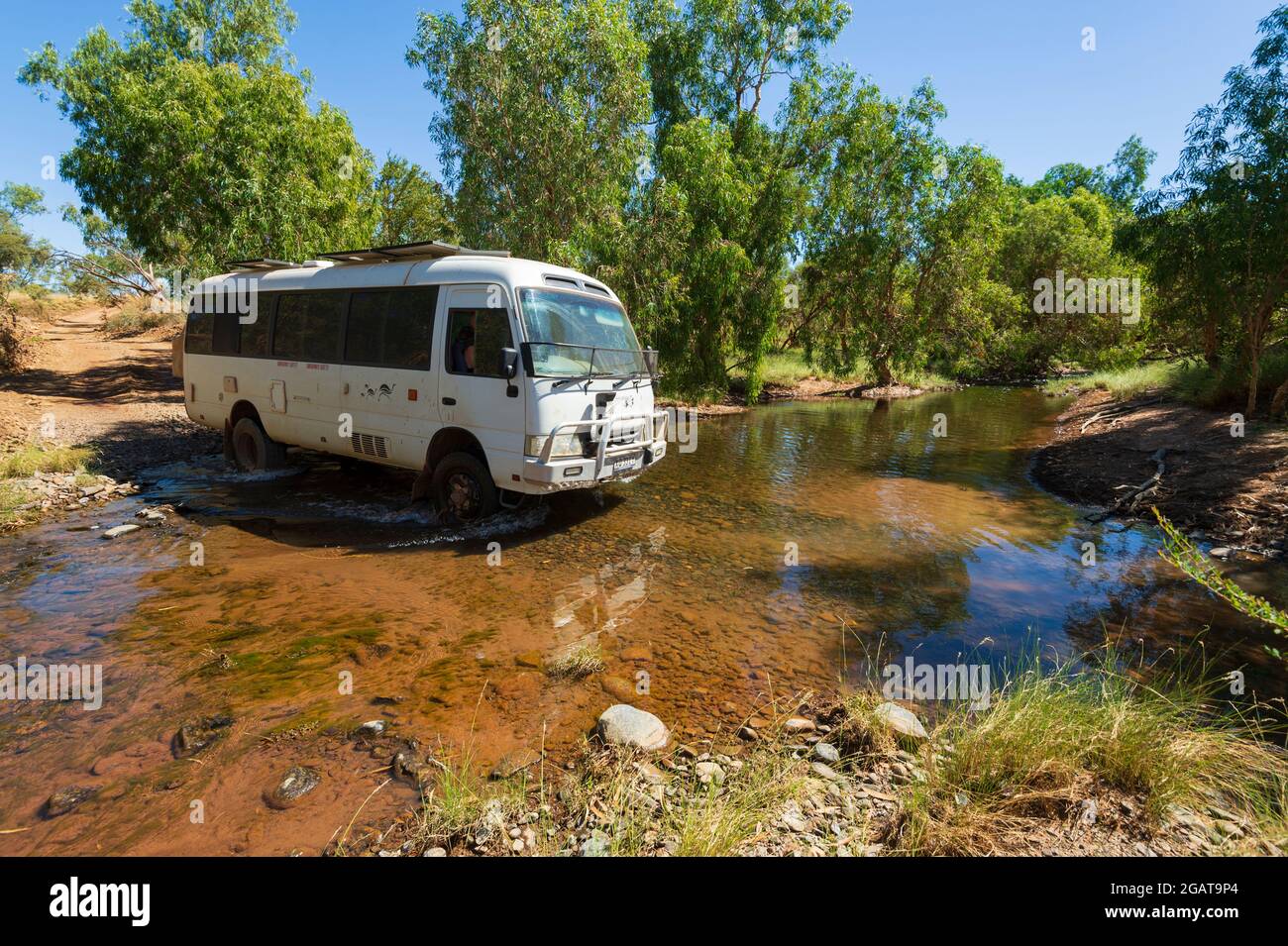 Toyota Coaster Bus Wohnmobil über einen flachen Bach im Outback, Mornington Wilderness Camp, Gibb River Road, Kimberley Region, Western Australia Stockfoto