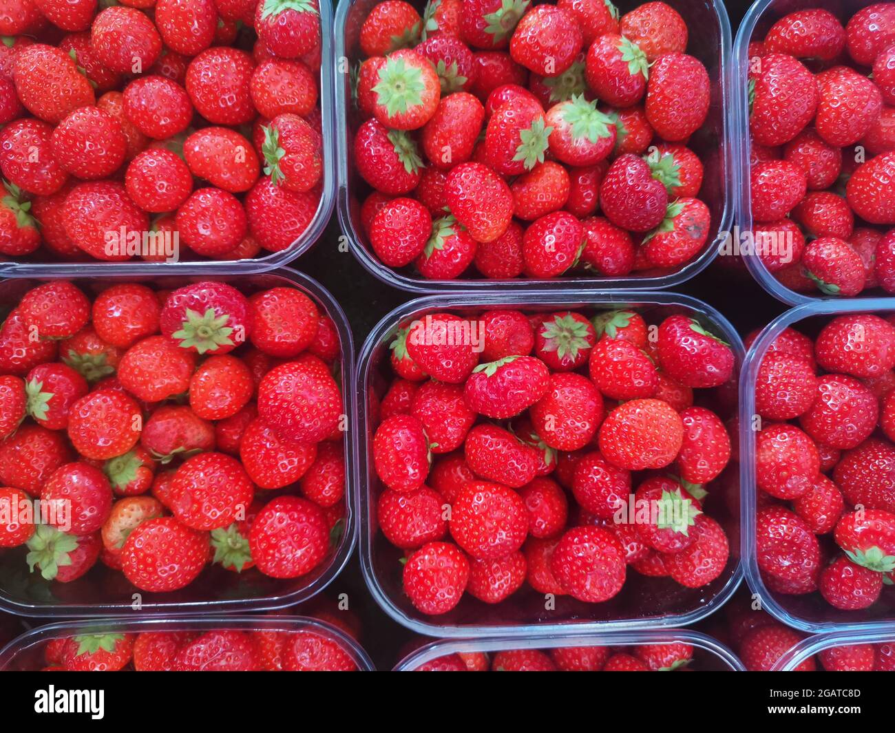 Rote Erdbeeren in Schalen, reife Früchte Stockfoto
