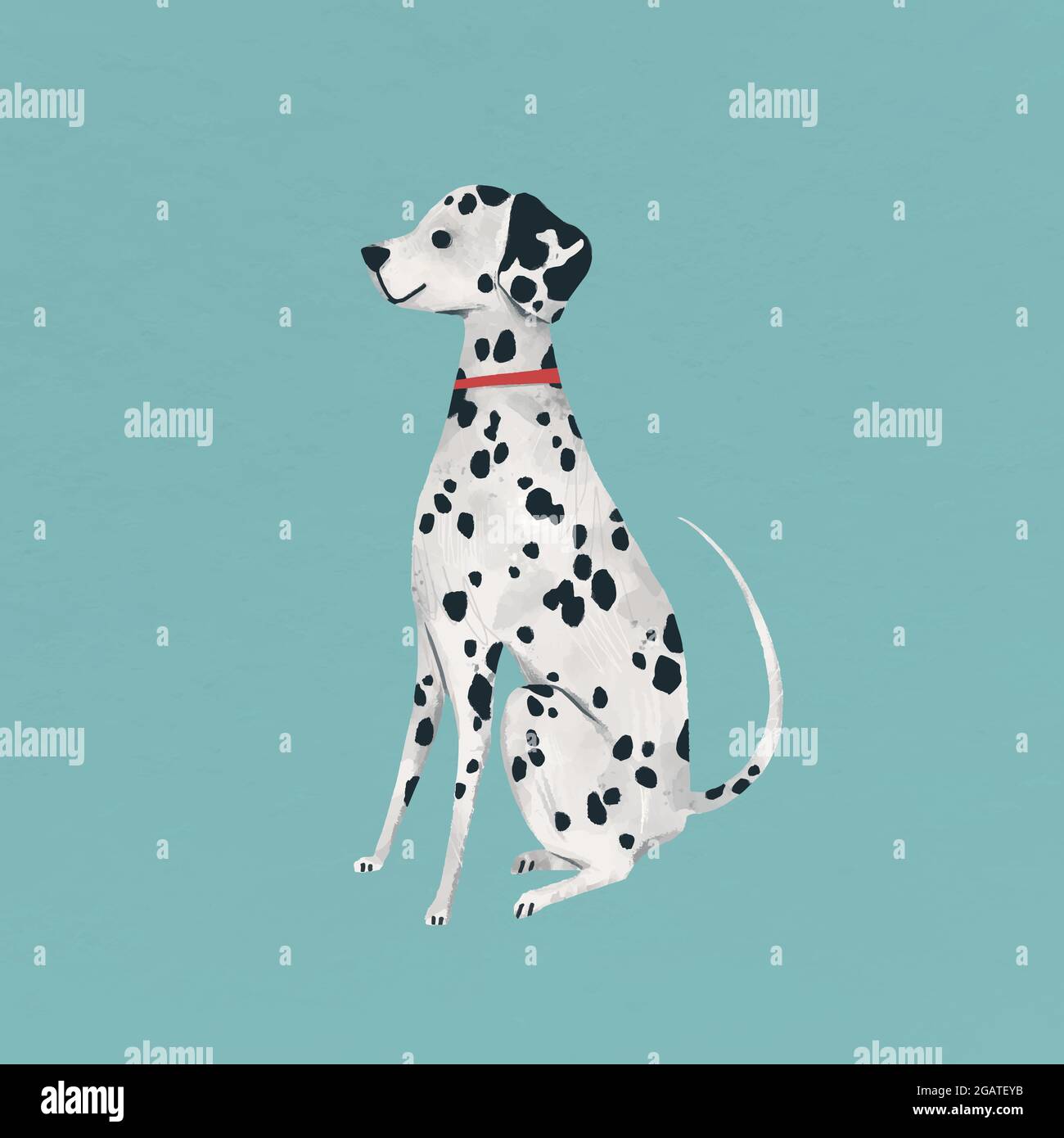Dalmatian Dalmatiner Dog Stock Vektorgrafiken kaufen   Seite 20   Alamy