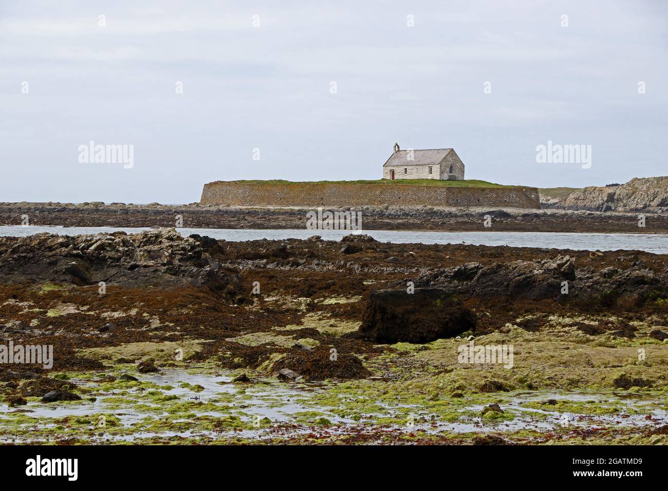 Die Kirche St. Cwyfan, Llangwyfan, die Kirche im Meer, Anglesey Stockfoto