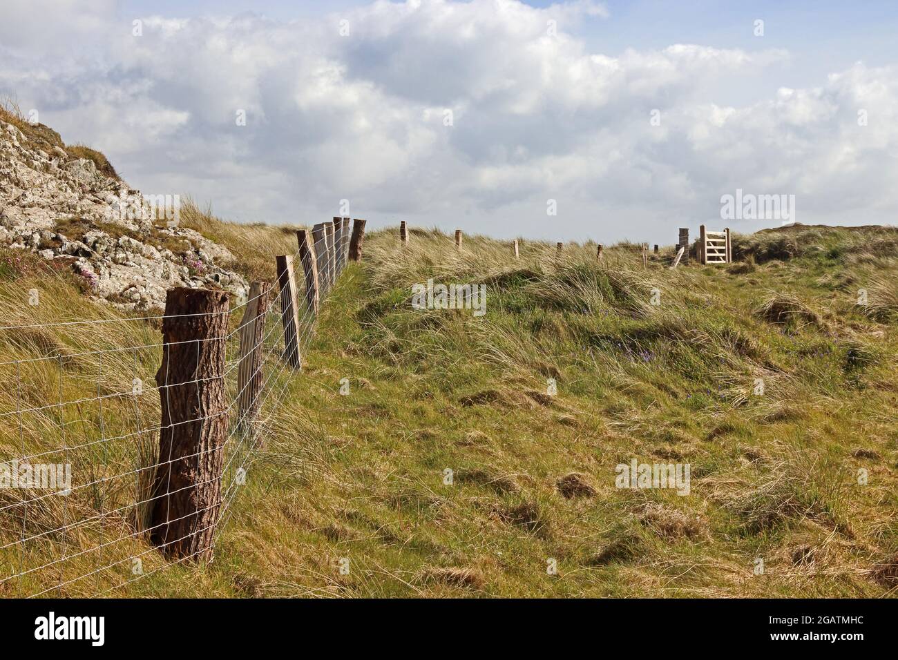 Drahtzaun auf Llanddwyn Island, Anglesey Stockfoto