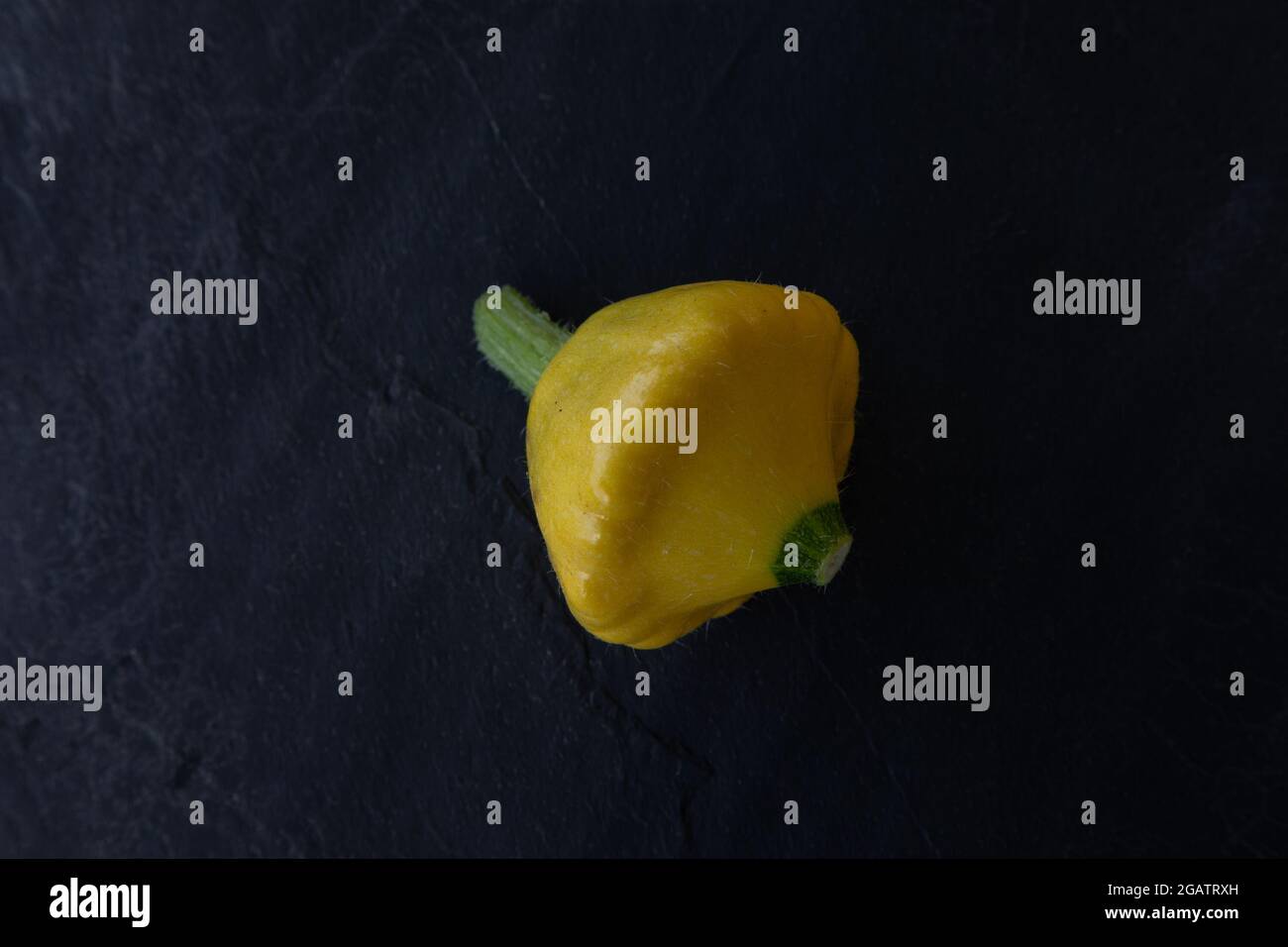 Yello Patty Pan Squash, Sorte Sunburst Stockfoto