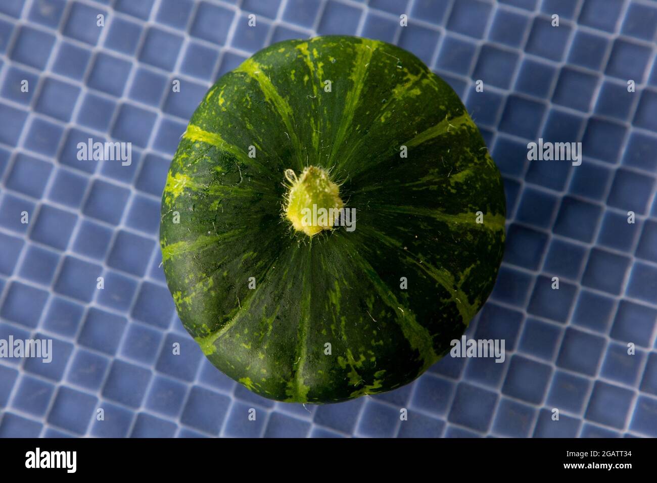 Pattypan Squash, Sorte Green Disc, präsentiert auf einer blauen Platte Stockfoto
