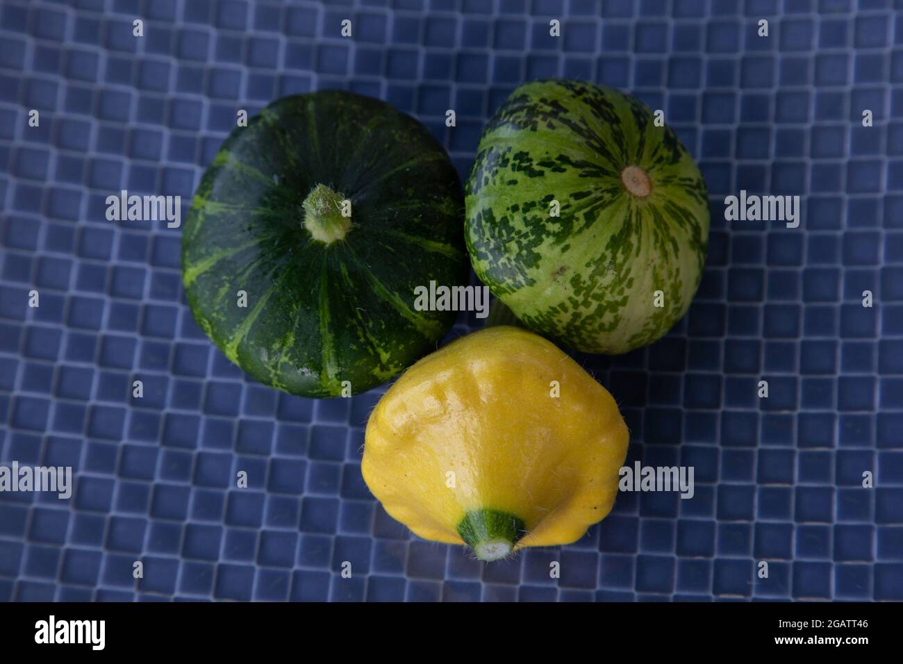 Sommer-Squash: Patty Pan Green Disc und Patty Pan Yellow Sunburst Stockfoto
