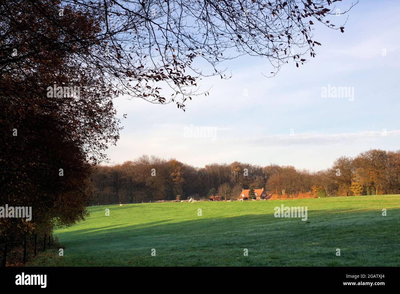 Blick auf ein Feld in der Nähe des niederländischen Dorfes Milsbeek Stockfoto