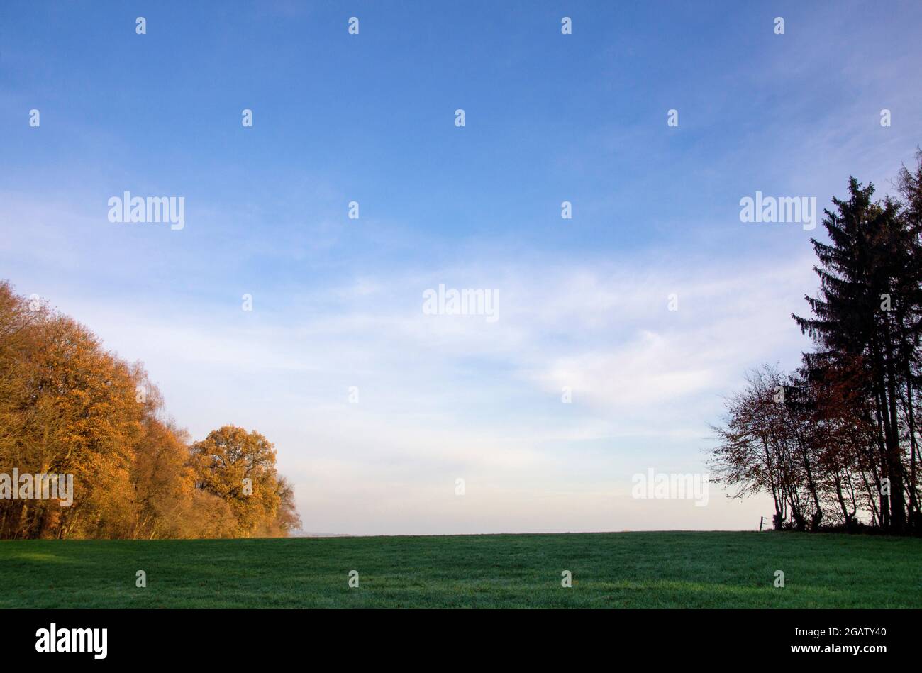 Weite offene Landschaft in der Nähe des niederländischen Dorfes Milsbeek Stockfoto