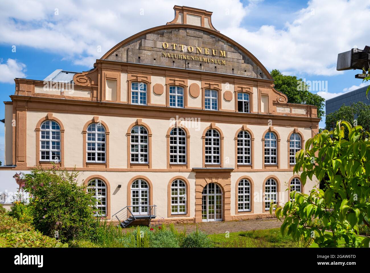 Ottoneum Naturhistorisches Museum in der Stadt Kassel, Deutschland Stockfoto