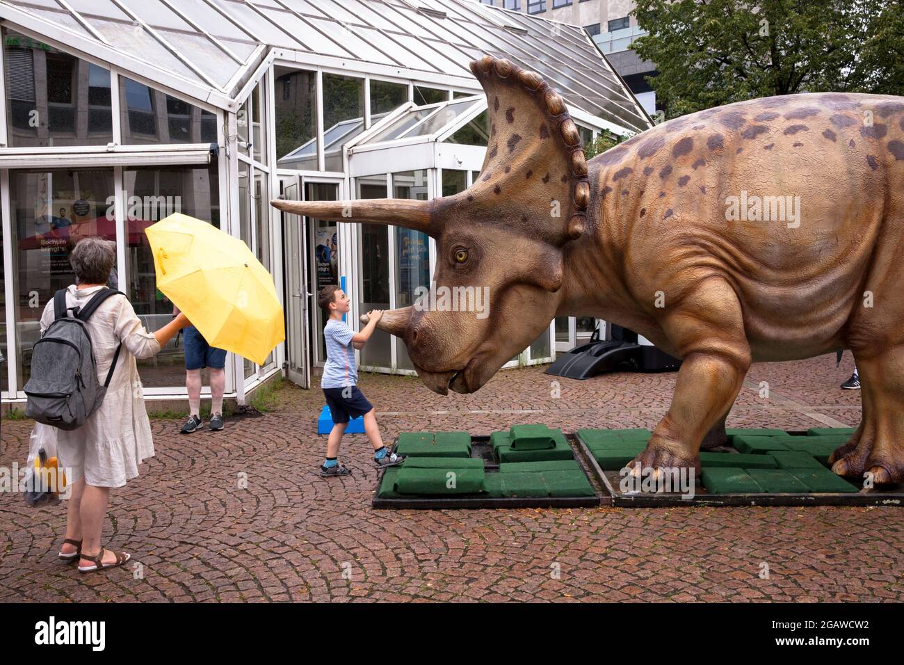 Lebensgroße Dinosaurier-Modelle, die an verschiedenen Orten im Bochumer Stadtzentrum ausgestellt wurden, hier: Triceratops, Nordrhein-Westfalen, Deutschland. Lebensgro Stockfoto