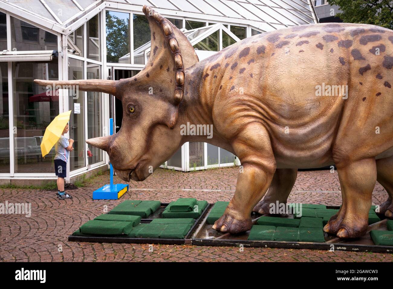 Lebensgroße Dinosaurier-Modelle, die an verschiedenen Orten im Bochumer Stadtzentrum ausgestellt wurden, hier: Triceratops, Nordrhein-Westfalen, Deutschland. Lebensgro Stockfoto