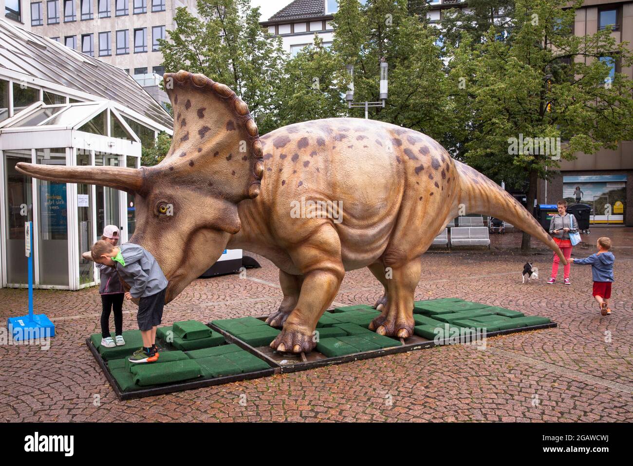 Lebensgroße Dinosaurier-Modelle, die an verschiedenen Orten im Bochumer Stadtzentrum ausgestellt wurden, hier: Triceratops, Nordrhein-Westfalen, Deutschland. Lebensgro Stockfoto