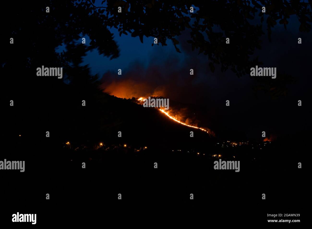 Bilder vom Feuer in der Nähe von Erice, in der Provinz Trapani, Sizilien. In einer Nacht brannte ein großes Gebiet aus autochthonen Wäldern ab. Stockfoto
