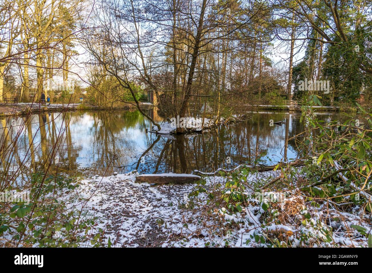 Southcrest Wood in Redditch, Worcestershire im Winter. Stockfoto