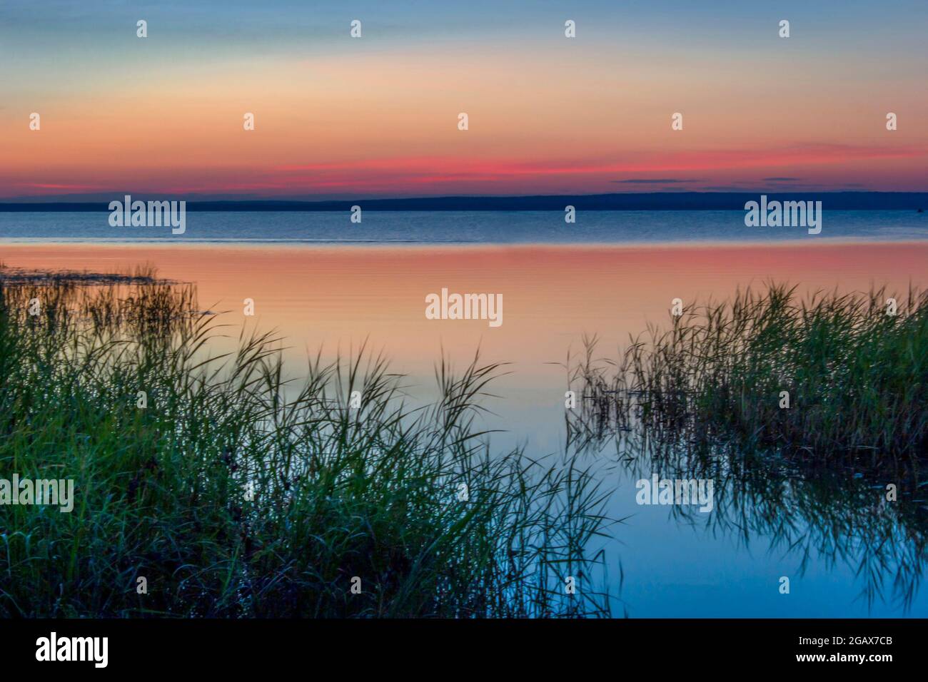 Schöner rosafarbener Sonnenuntergang am See. Wasser Himmel Küste Horizont Schilf. Stockfoto