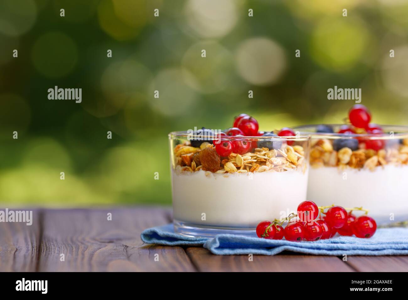 Müsli mit griechischem Joghurt und Beeren in zwei Gläsern Stockfoto