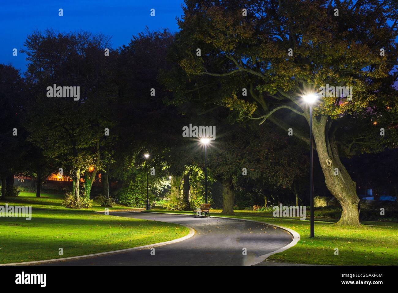 Ruhiger Park in der Nacht mit Straßenlaternen, Bäumen, grünem Gras und Pfad. Stockfoto