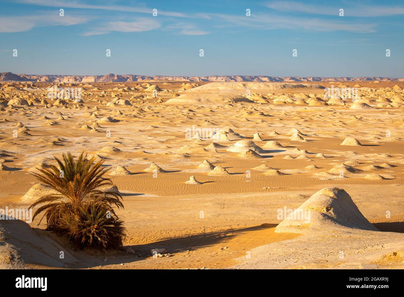 Seltsame Kalksteinformationen in der Weißen Wüste, Farafra, Ägypten Stockfoto