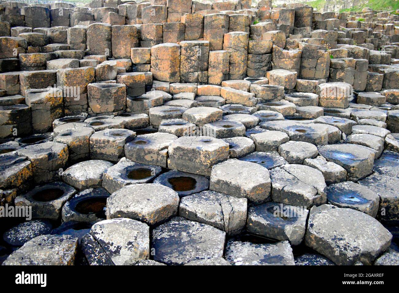 Die Basaltsäulen am berühmten Giant's Causeway in Nordirland, Großbritannien. Stockfoto