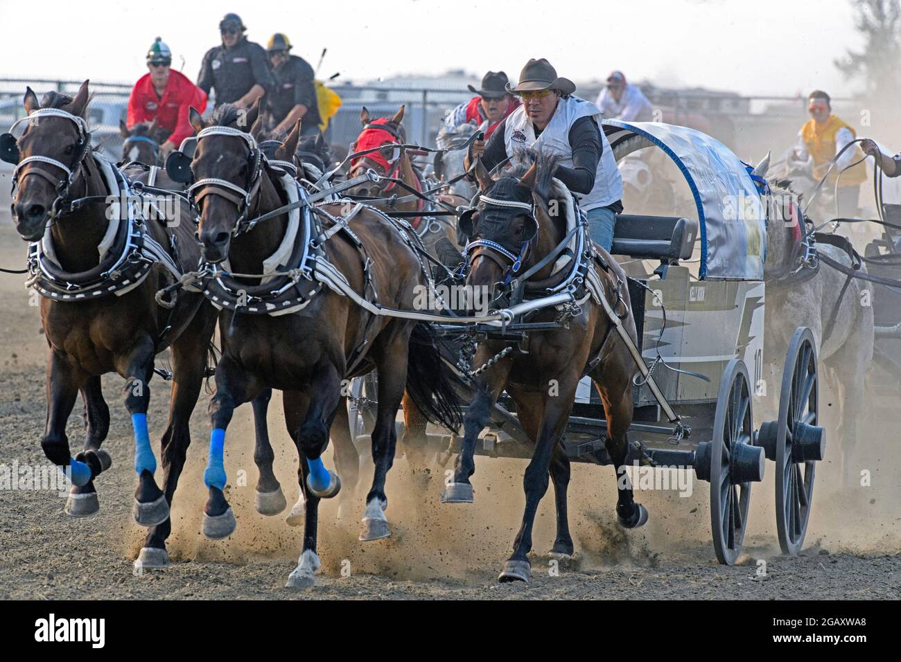 Kleinstadt-Chuckwagon-Rennen in Strathmore, Alberta, Kanada Stockfoto