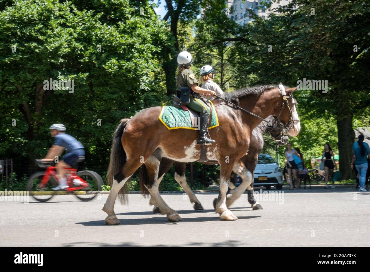 Mounted Park Police im Central Park, NYC Stockfoto