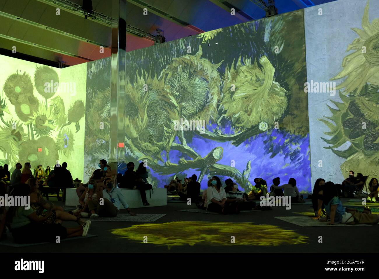Besucher des Vincent Van Gogh Immersive Experience in New York City Stockfoto
