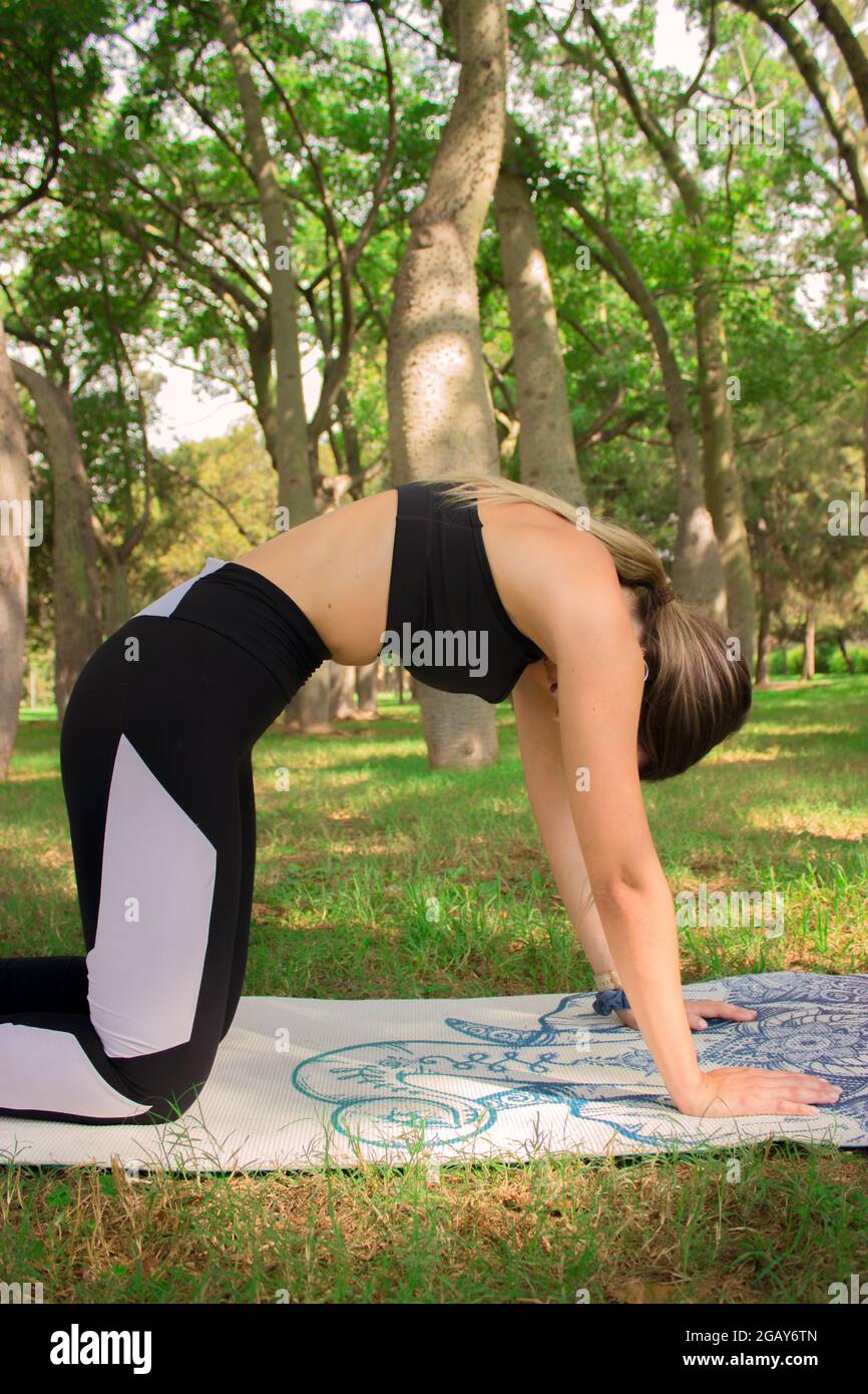 Vertikales Bild eines jungen Mädchens, das an einem sonnigen Sommertag im Stadtpark eine Yoga-Haltung im Freien macht. Pilates Workout Outdoor 2021. Stockfoto
