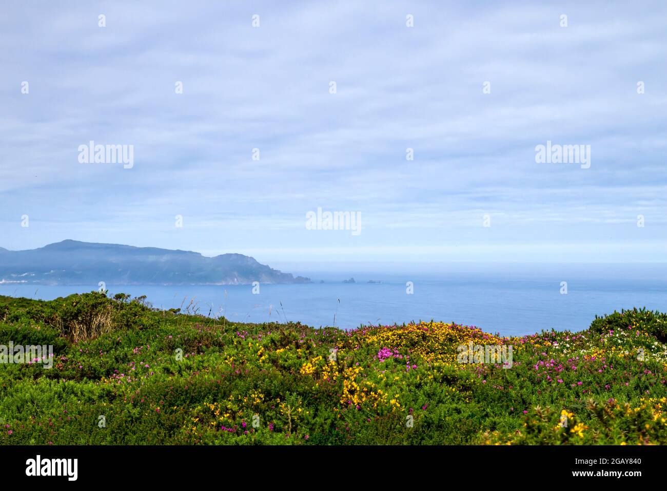 Frühlingslandschaft an der Atlantikküste von Galicien, Spanien Stockfoto