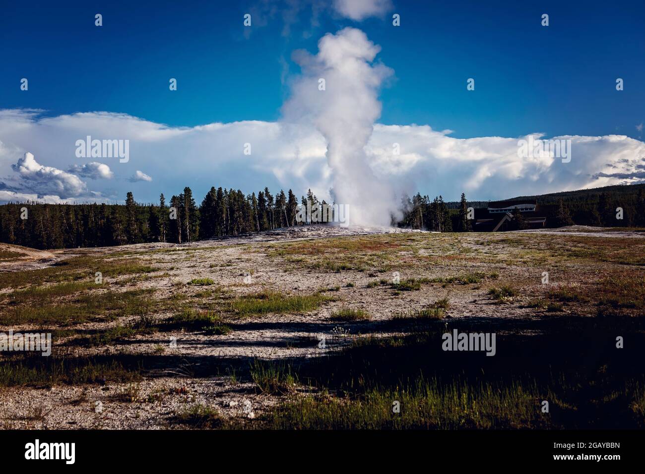 Yellowstone-Nationalpark Stockfoto