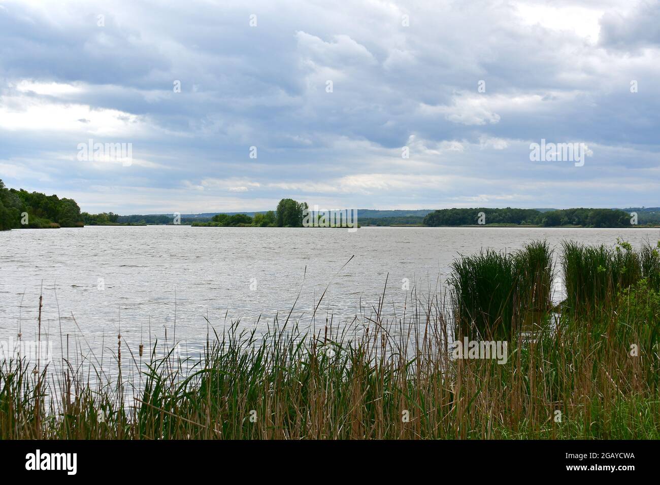 Kis-Balaton, Ungarn, Magyarország, Europa Stockfoto