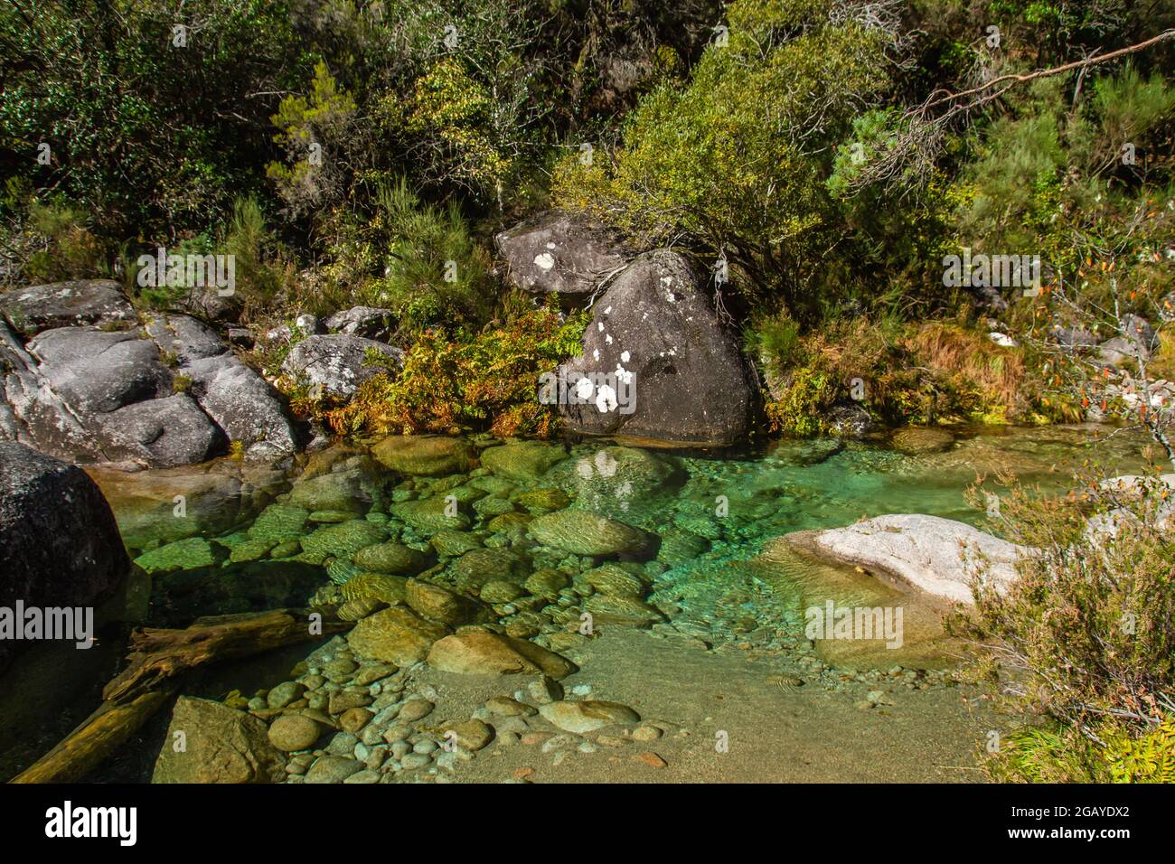 Homem Fluss durch den Wald Mata da Albergaria, Nationalpark Peneda Geres, Portugal Stockfoto