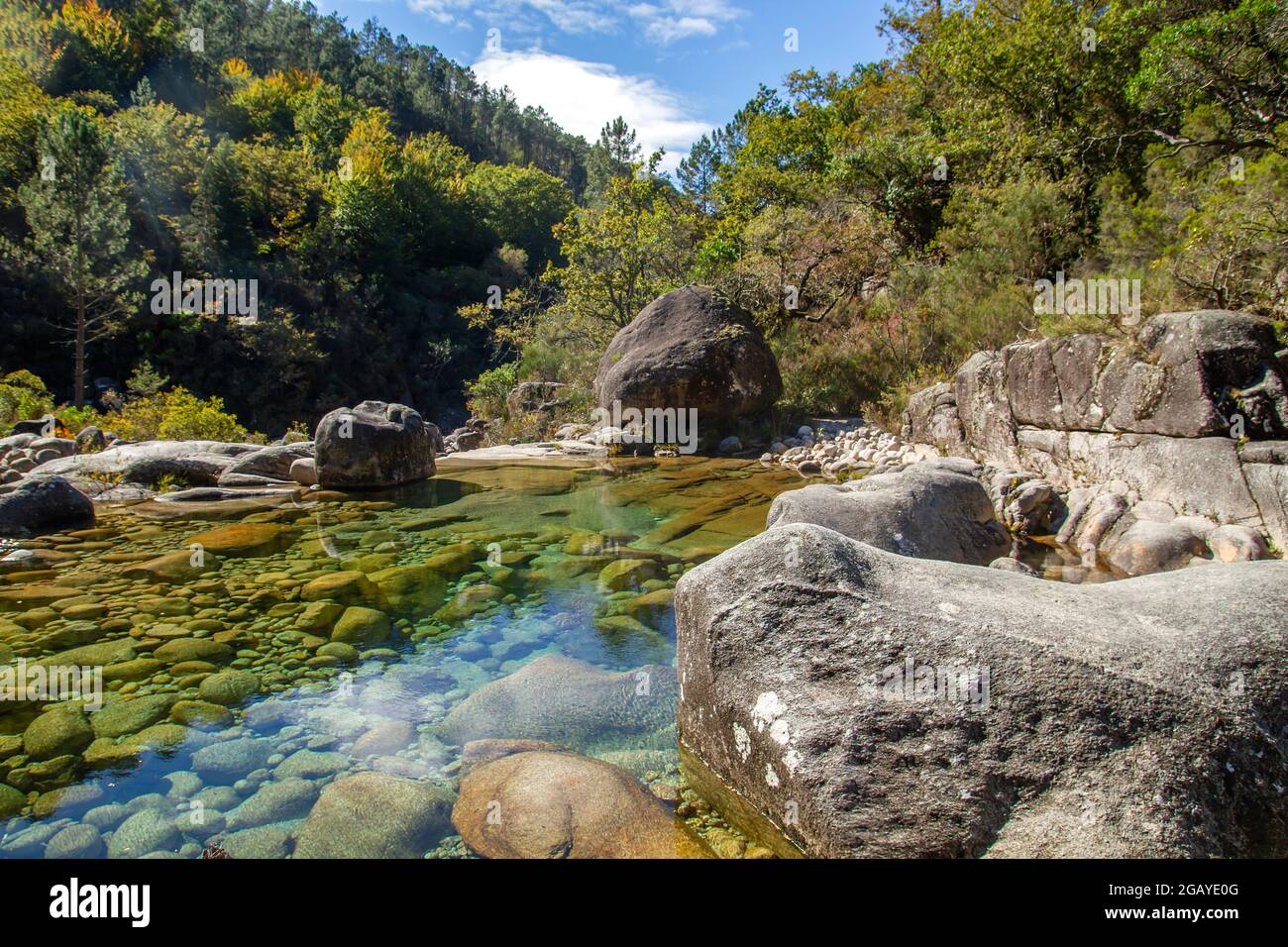 Herbstliche Landschaft im Tal des Flusses Homem durch den Wald Mata da Albergaria, Nationalpark Peneda Geres, Portugal Stockfoto
