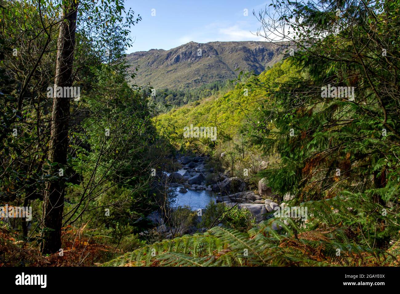 Tal des Flusses Homem im Nationalpark Peneda Geres, Portugal Stockfoto