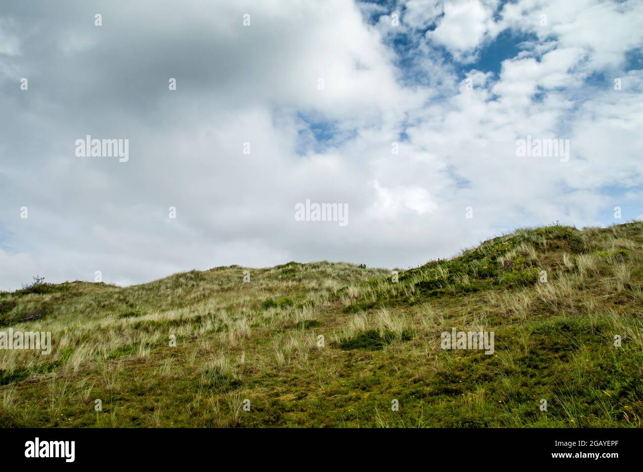 Dünen von Texel Nationalpark Landschaft Stockfoto