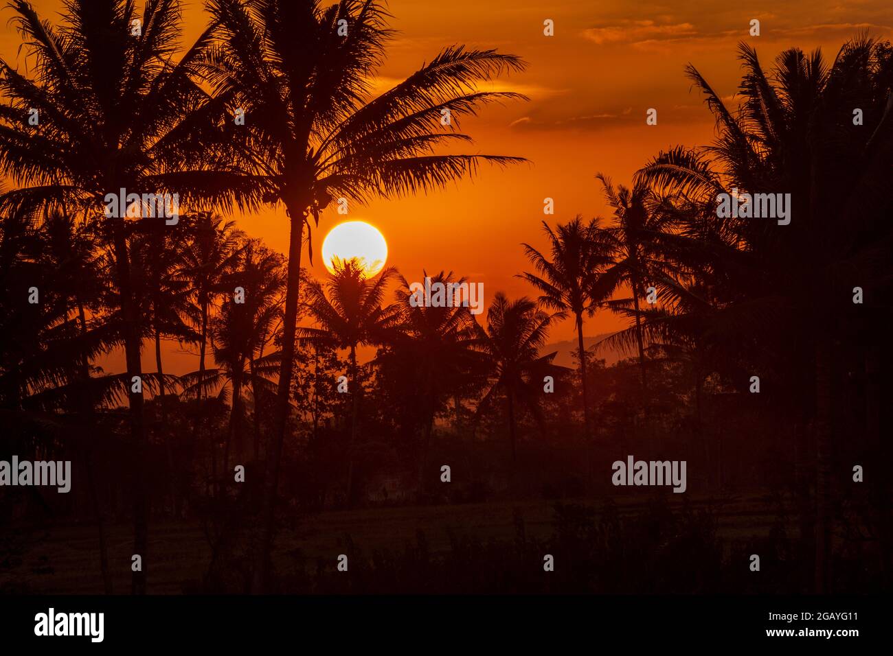 Sonnenuntergang Sonnenaufgang Sommerlandschaft Schone Natur Blauer Himmel Erstaunliche Bunte Wolken Naturlicher Hintergrund Kunstlerische Wallpaper See Sonne Stockfotografie Alamy