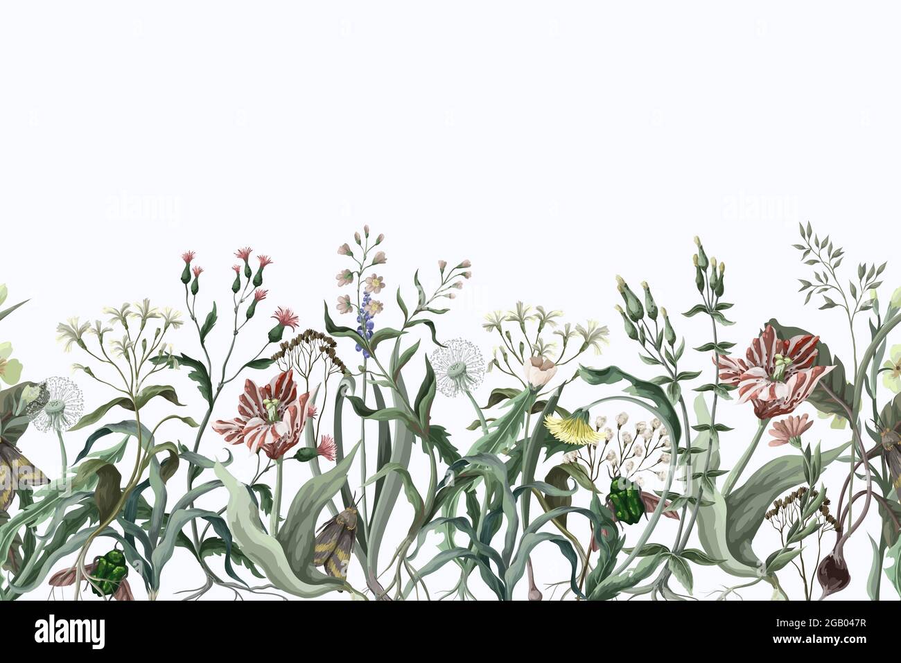 Grenze mit wilden dünnen Blumen und Insekten. Trendiger botanischer Druck. Stock Vektor