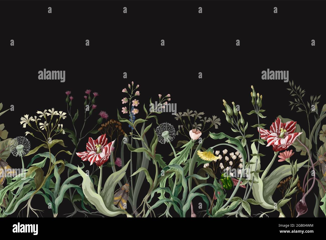 Grenze mit wilden dünnen Blumen und Insekten. Trendiger botanischer Druck. Stock Vektor