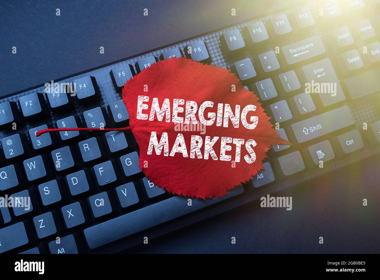 Schild mit Emerging Markets. Business Concept Nationen, die in produktivere Kapazitäten investieren, schreiben Online Research Text Analysis Stockfoto