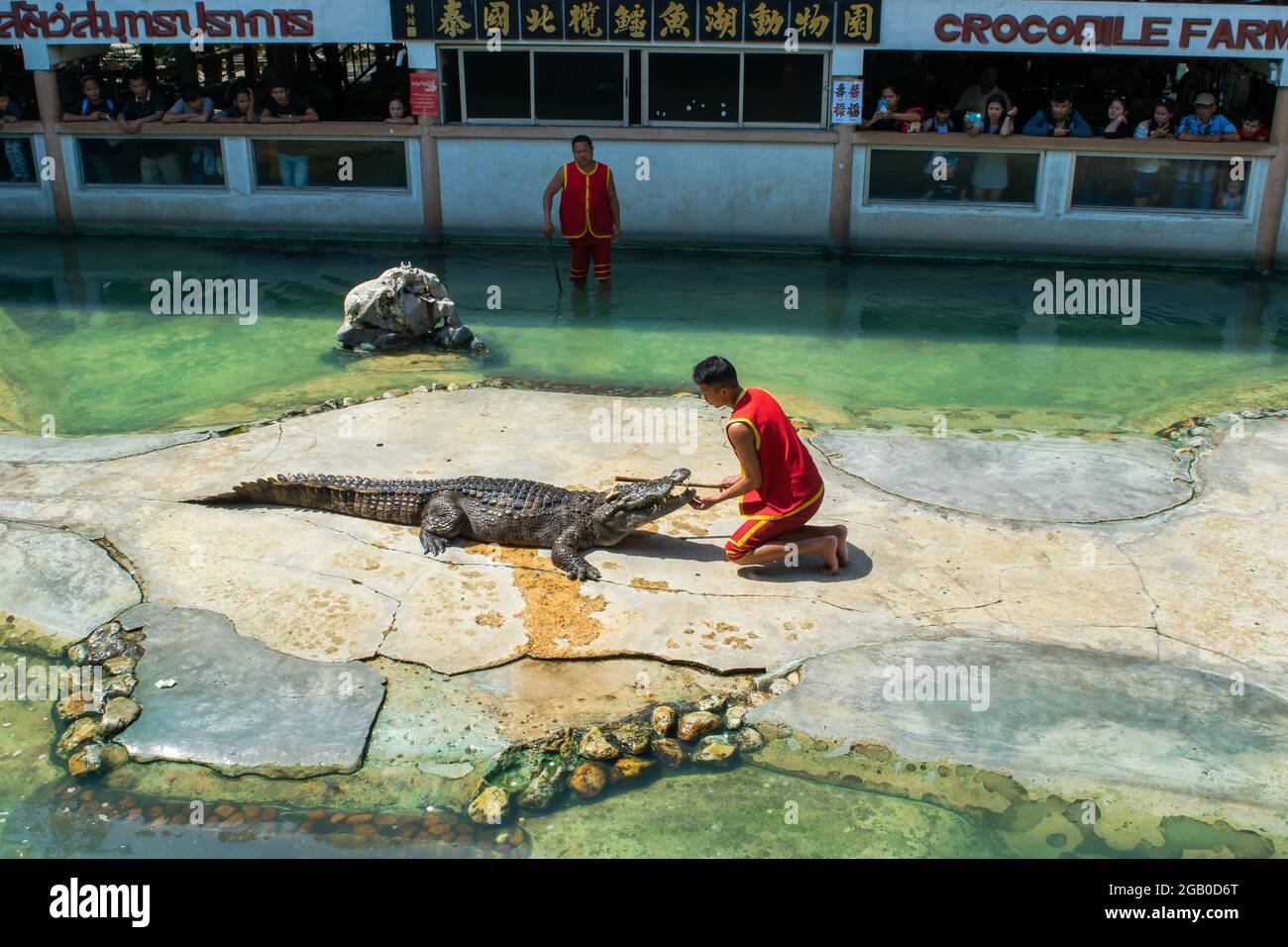 SAMUTPRAKARN, THAILAND - 29. Januar 2017: Krokodilshow der Mann steckte auf der Krokodilfarm seinen Kopf in den Mund des Krokodils Stockfoto