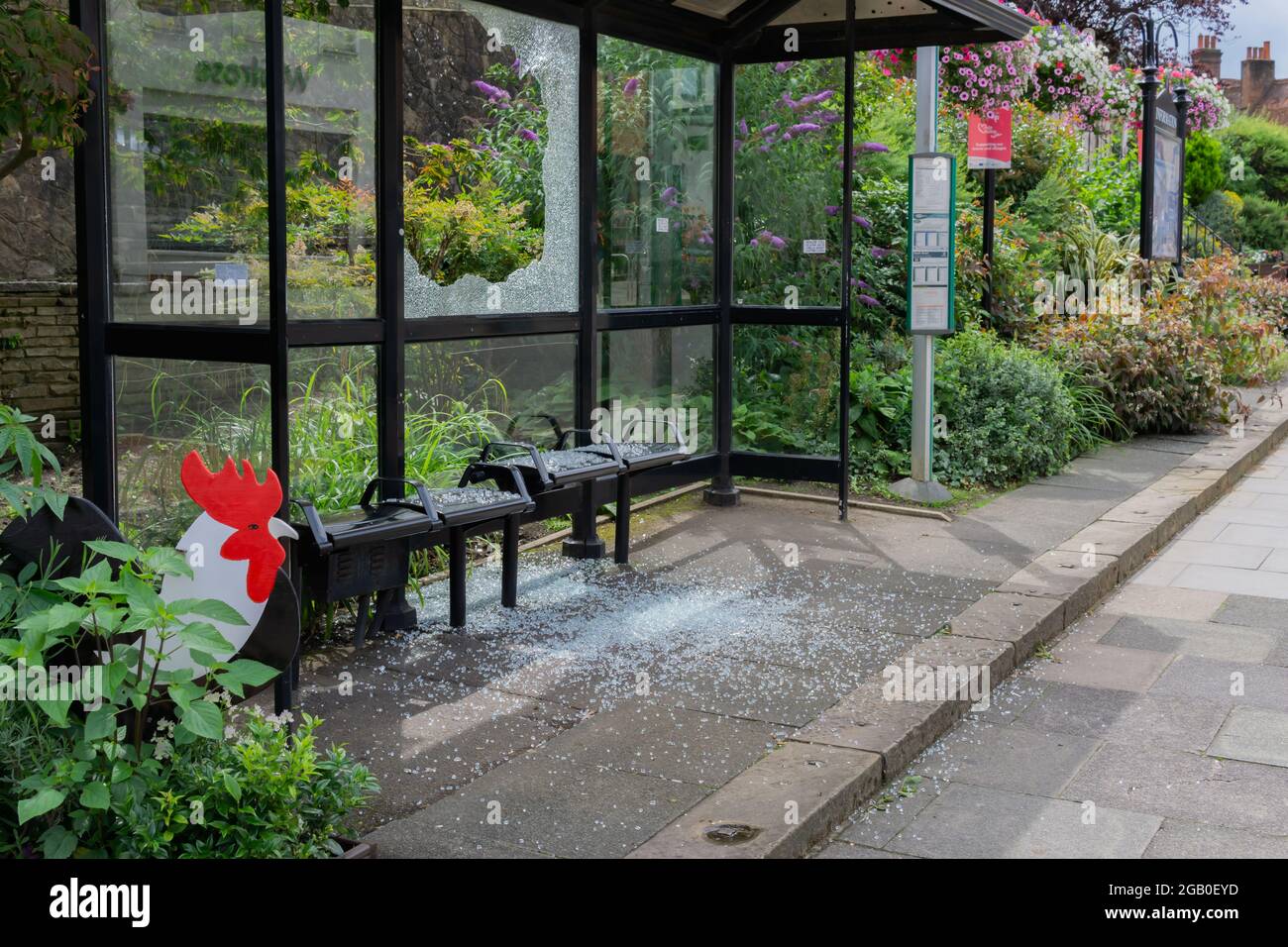 Dorking, Surrey, Großbritannien, 21.08.01.21: Ein neu ersetztes South Street Bus Shelter-Fenster wurde mit einem Glasspray auf den öffentlichen Sitzen und dem Wartebereich zertrümmert. Stockfoto