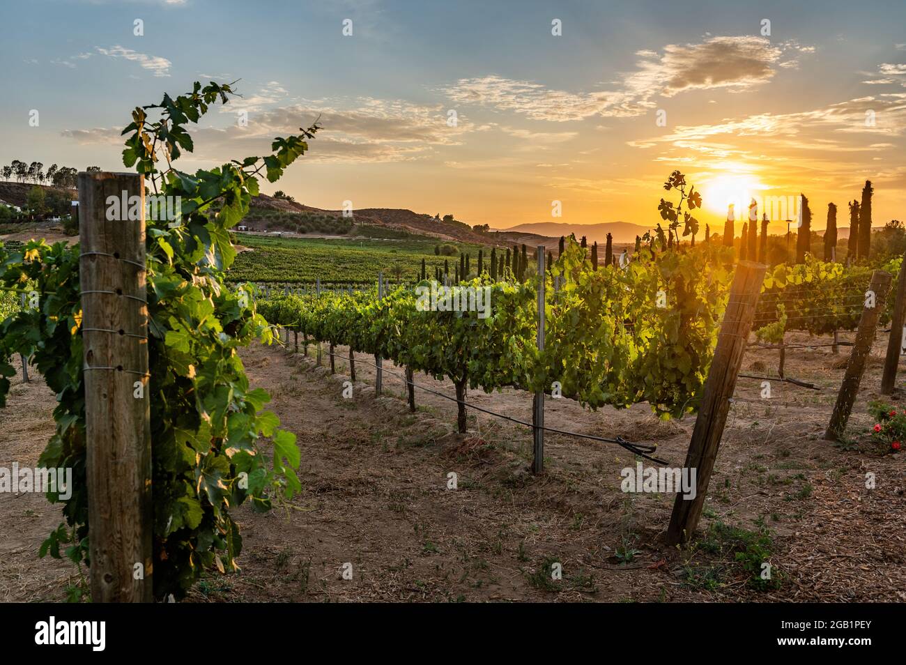 Schönes Weingut in Temecula, Kalifornien Stockfoto