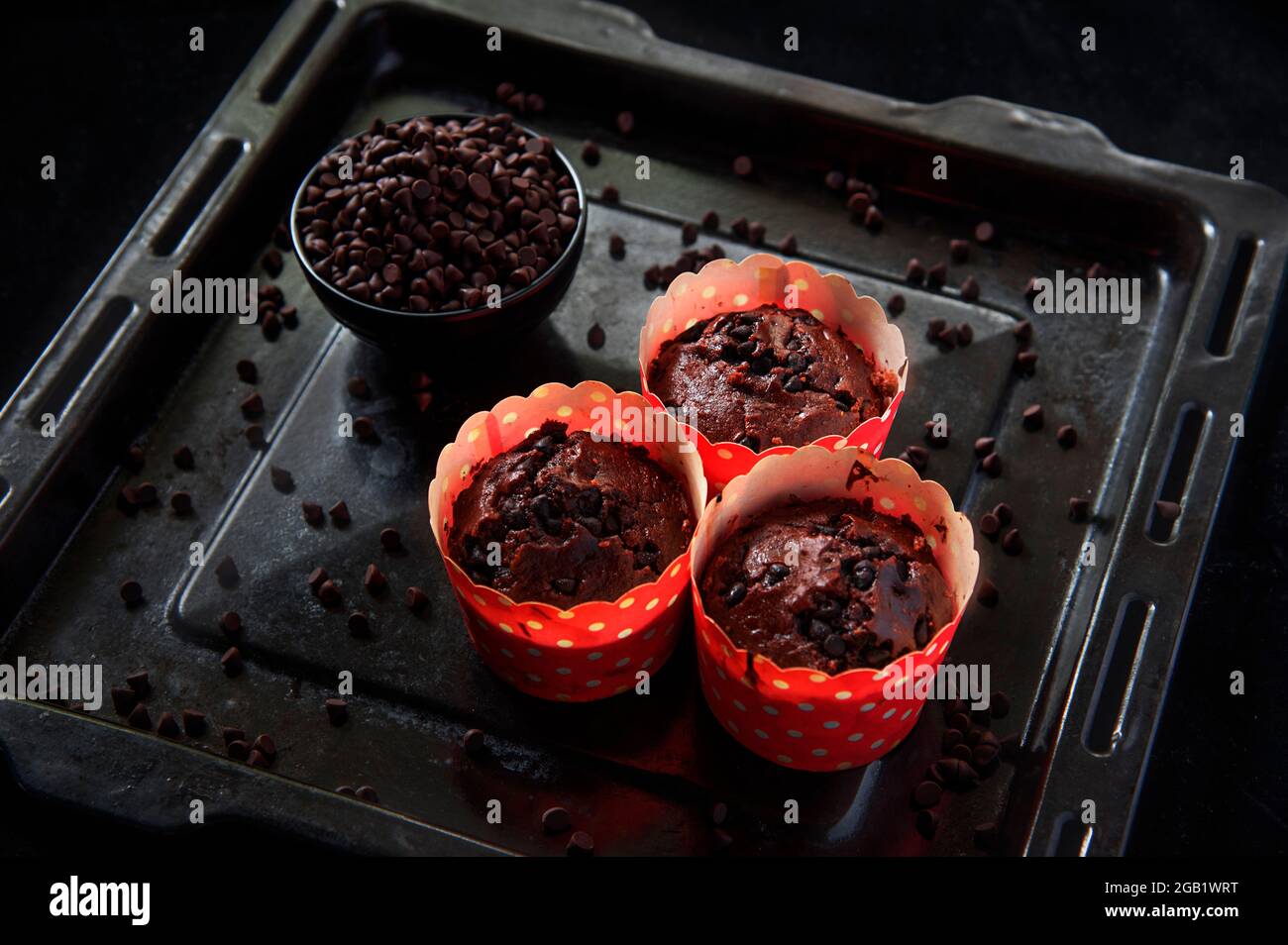 Leckere Schokoladen-Muffins, Tasse Kuchen Stockfoto