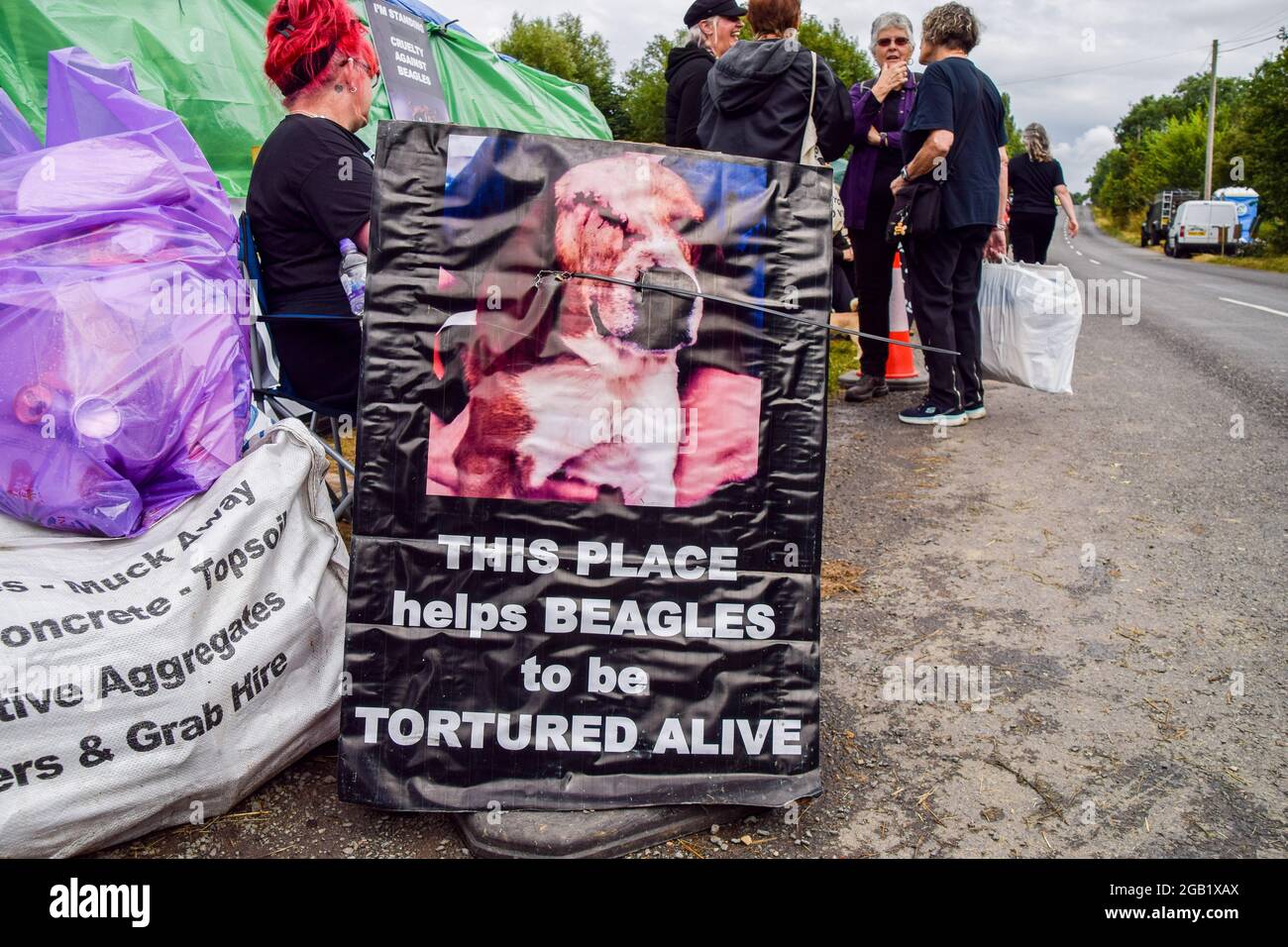 Huntingdon, Großbritannien. August 2021. Ein Plakat mit einem grafischen Foto eines in Experimenten verwendeten Hundes ist während der MBR Acres-Proteste in Huntingdon, Cambridgeshire, zu sehen. Tierschutzaktivisten versammelten sich vor dem Beagle-Brutplatz von MBR Acres, um die Freilassung von 2000 Beagles zu fordern, von denen die Demonstranten behaupten, dass sie für grausame Experimente aufgezogen werden. Dutzende von Aktivisten haben auch außerhalb des Geländes ein langfristiges Camping eingerichtet, um das Unternehmen unter Druck zu setzen, die Hunde freizulassen und die Anlagen zu schließen. (Foto: Vuk Valcic/SOPA Images/Sipa USA) Quelle: SIPA USA/Alamy Live News Stockfoto