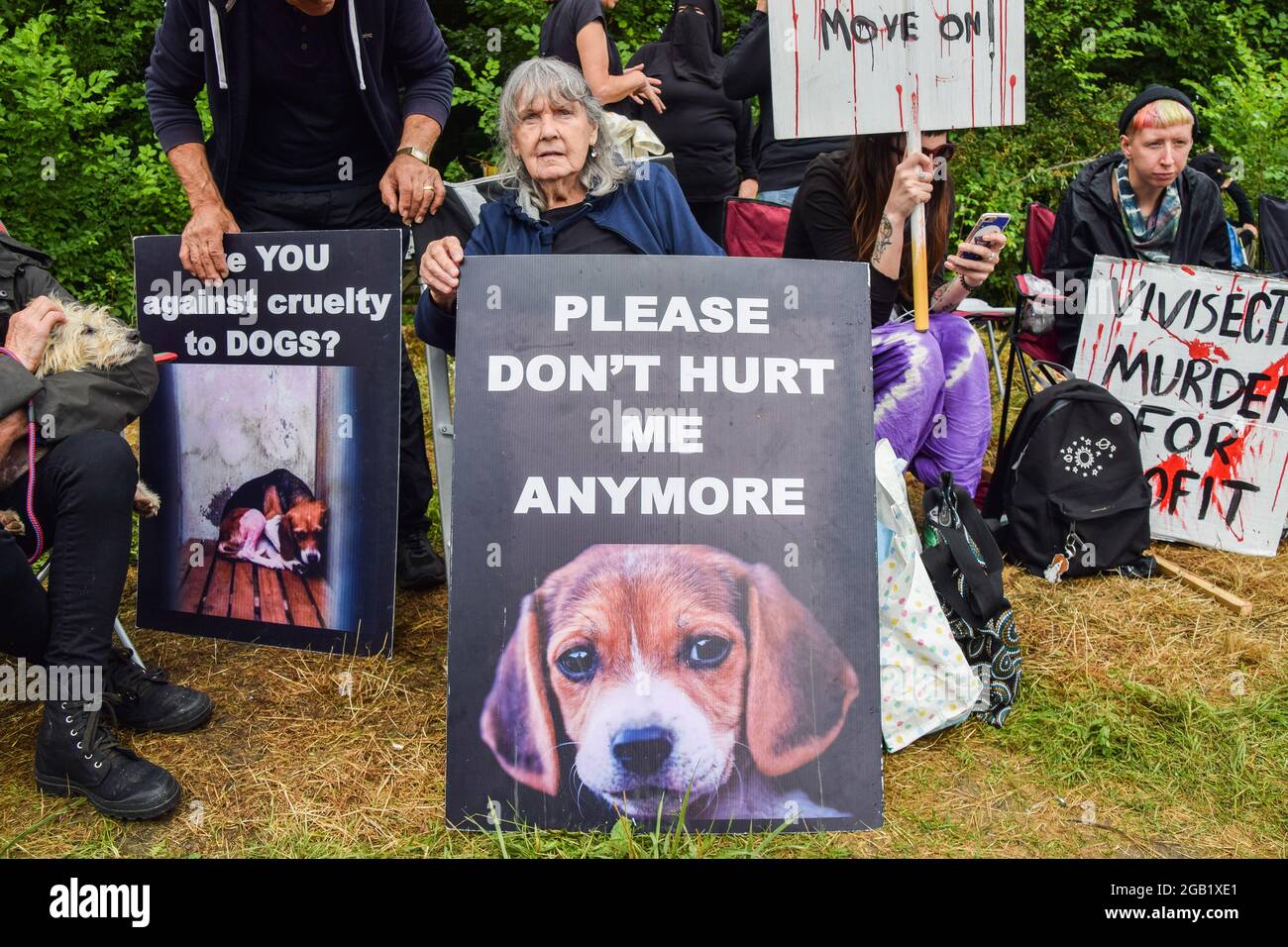 Ein Demonstrator hält ein Plakat mit einem Bild eines Beagle-Welpen und den Worten „Bitte verletzt mich nicht mehr“ während des MBR Acres-Protests in Huntingdon, Cambridgeshire. Tierschutzaktivisten versammelten sich vor dem Beagle-Brutplatz von MBR Acres, um die Freilassung von 2000 Beagles zu fordern, von denen die Demonstranten behaupten, dass sie für grausame Experimente aufgezogen werden. Dutzende von Aktivisten haben auch außerhalb des Geländes ein langfristiges Camping eingerichtet, um das Unternehmen unter Druck zu setzen, die Hunde freizulassen und die Anlagen zu schließen. (Foto von Vuk Valcic/SOPA Images/Sipa USA) Stockfoto