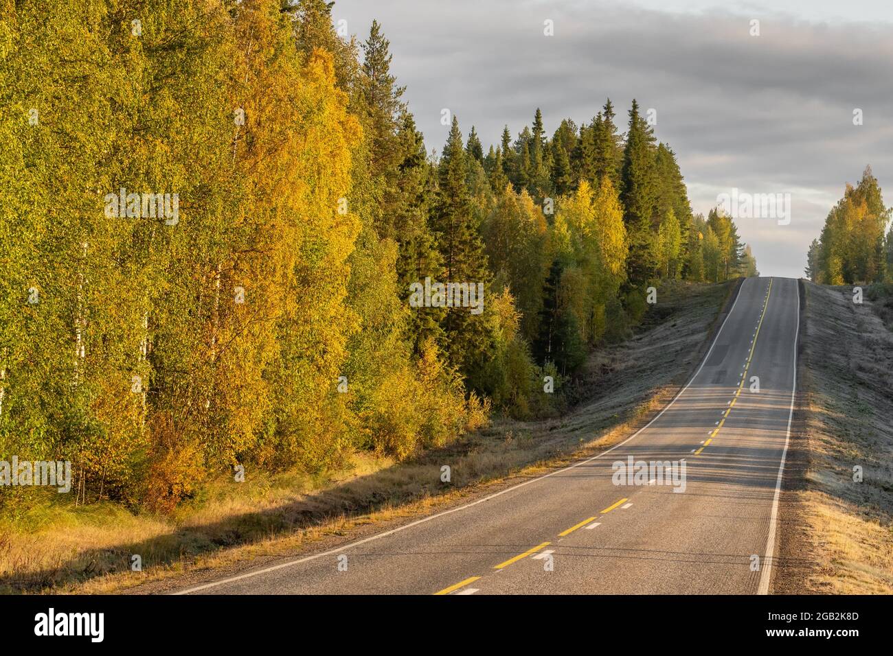 Autobahn in schönen Herbstwald im ländlichen Finnland Stockfoto