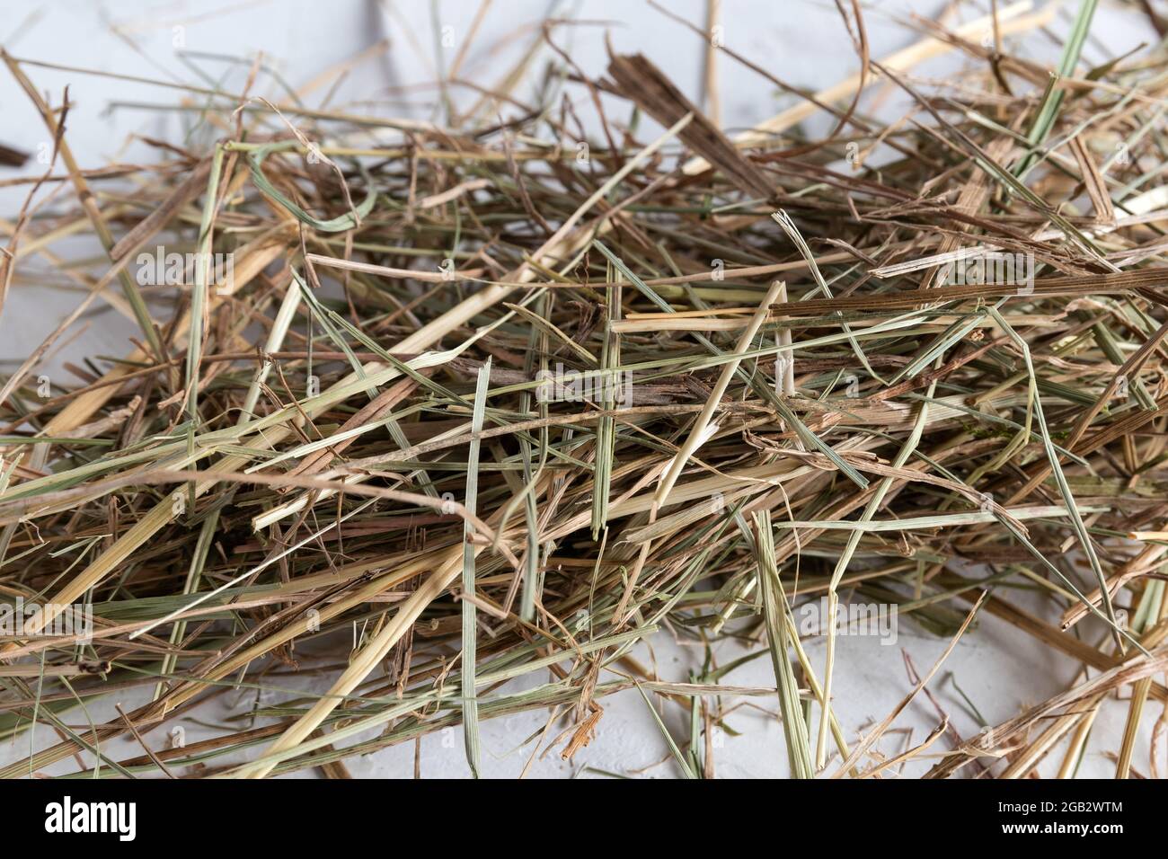 Heu aus den alpen für Hamster und Kaninchen Stockfoto