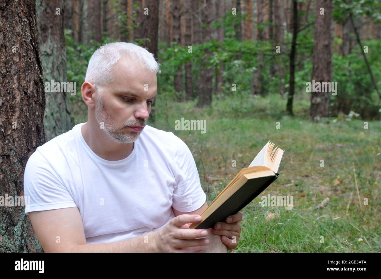 Ein Mann liest im Wald ein Buch und entspannt sich an der frischen Luft. Nahaufnahme. Stockfoto