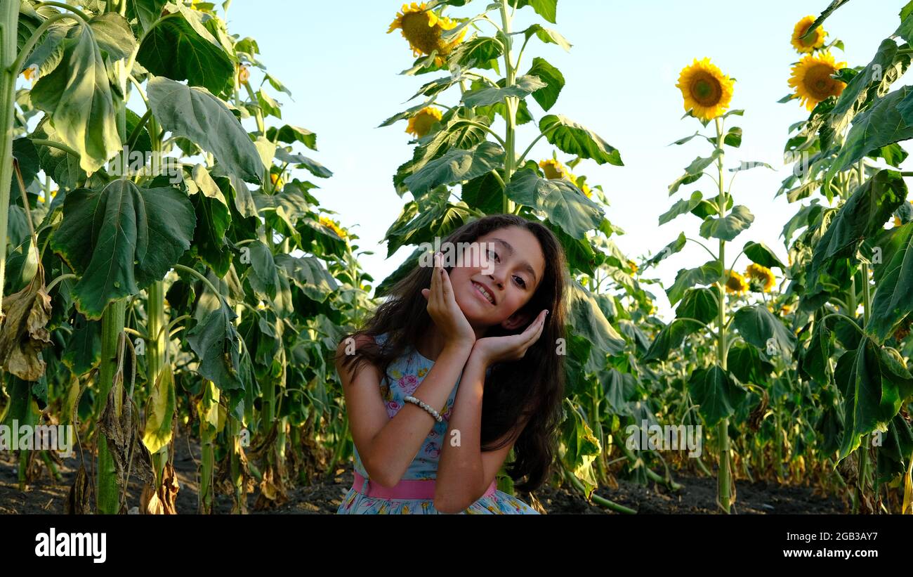 Ein schönes Mädchen praktiziert Meditation in einem Feld von Sonnenblumen. Stockfoto