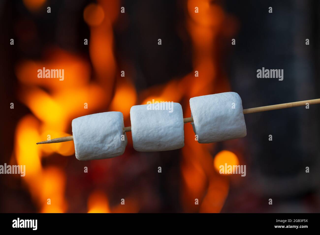 Bratfertig Marshmallow auf hölzernen Stock in der Nähe von Camp Fire Stockfoto