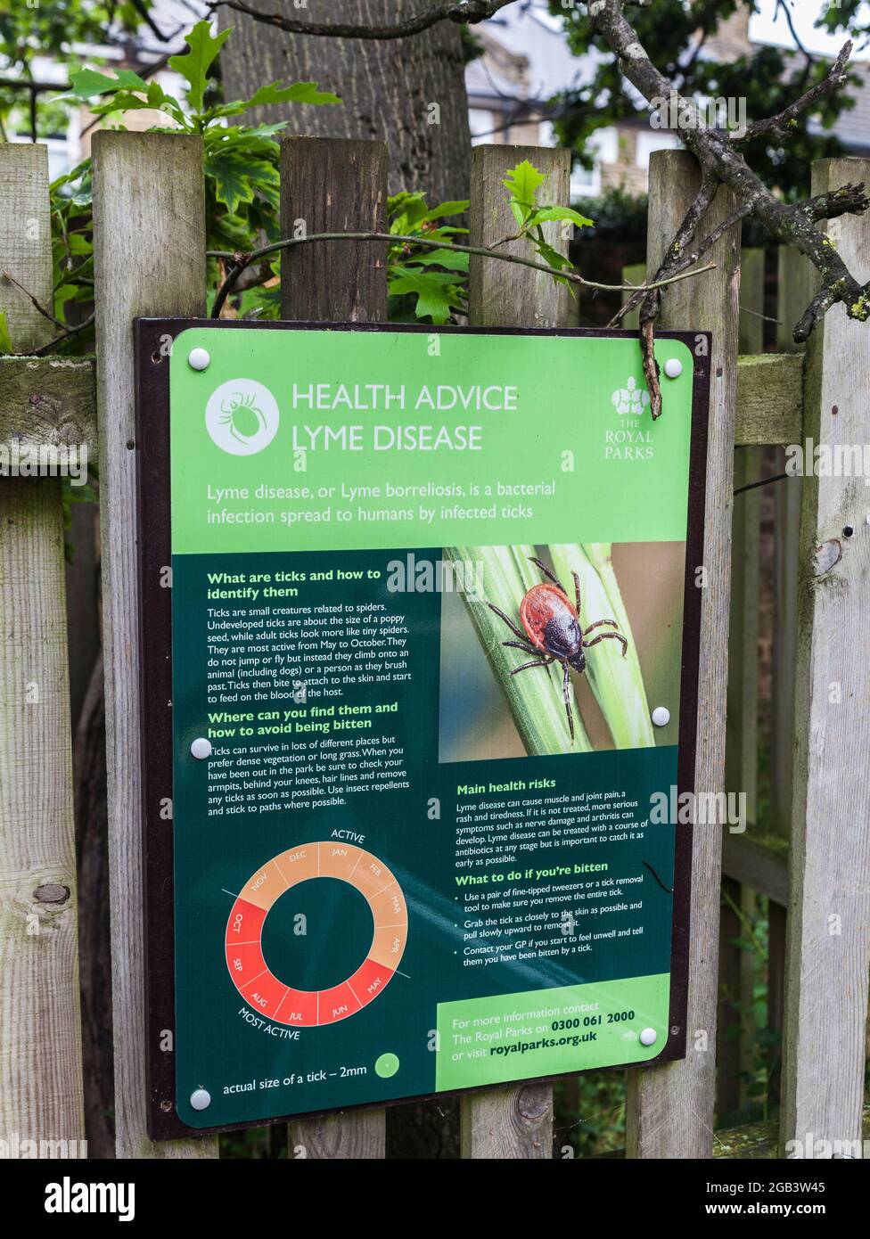 Gesundheit Beratung Zeichen re Lyme-Borreliose im Bushy Park in Hampton Hill, London, England, Großbritannien Stockfoto
