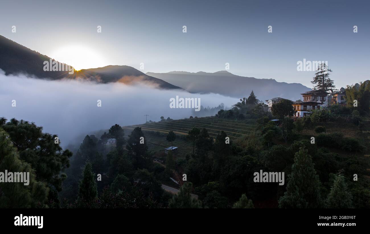 Punakha Valley Stockfoto