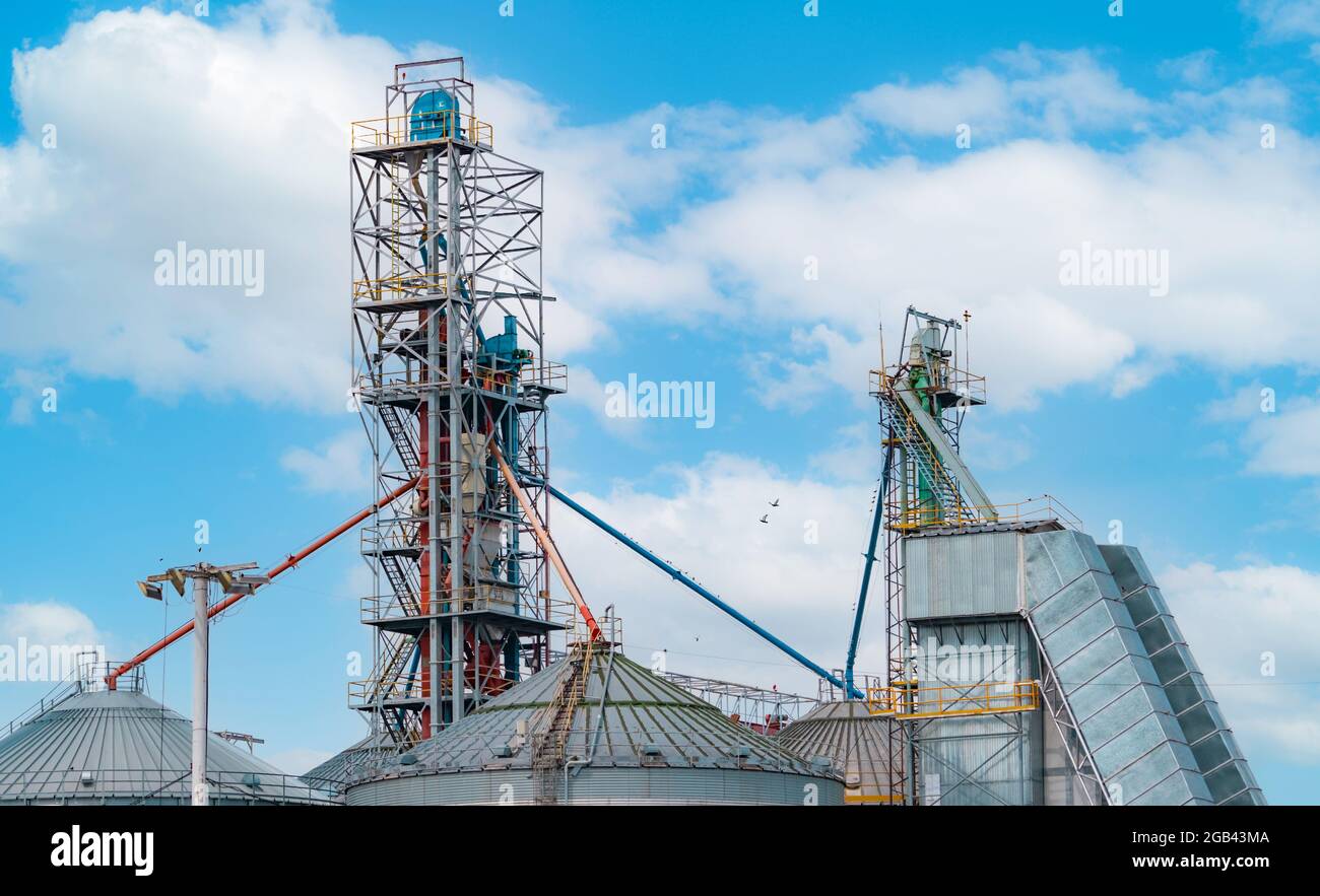 Landwirtschaftssilo in der Futtermittelfabrik. Tank für Lagergetreide in der Futtermittelherstellung. Saatgutturm für die Futtermittelproduktion. Gewerbliche Futtermittel. Stockfoto